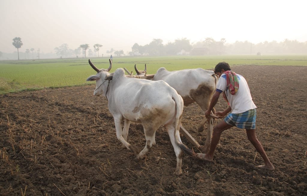 India's Agriculture- Still a Backward Business